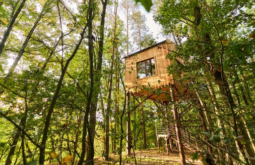 Zdjęcie obiektu Kraina Dzikiej Kaczki