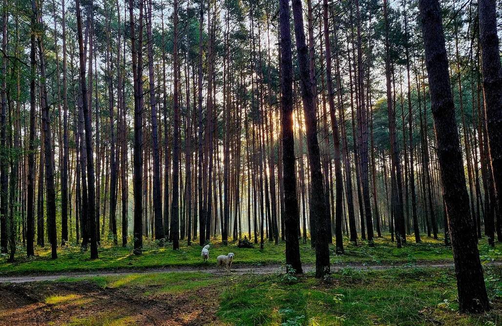 AlohaCamp Dom Stodoła 1
