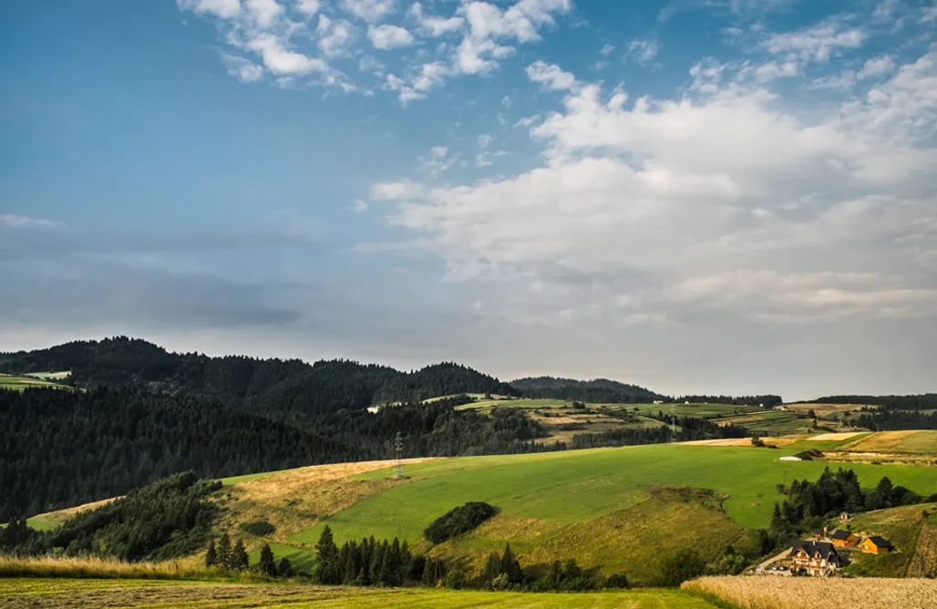 noclegi AlohaCamp Pieninskie Herbarium dobre samopoczucie Osada nad Babieńskim Potockiem 2