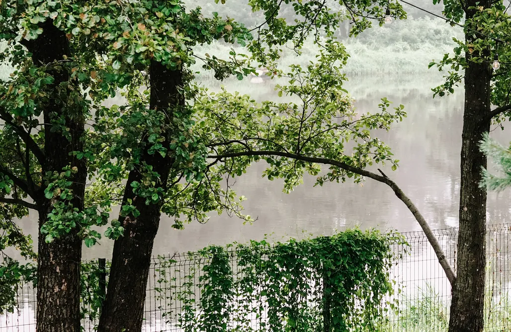 Wólka-Wojciechówek Domki Promowa17 - domek dla dwojga 1