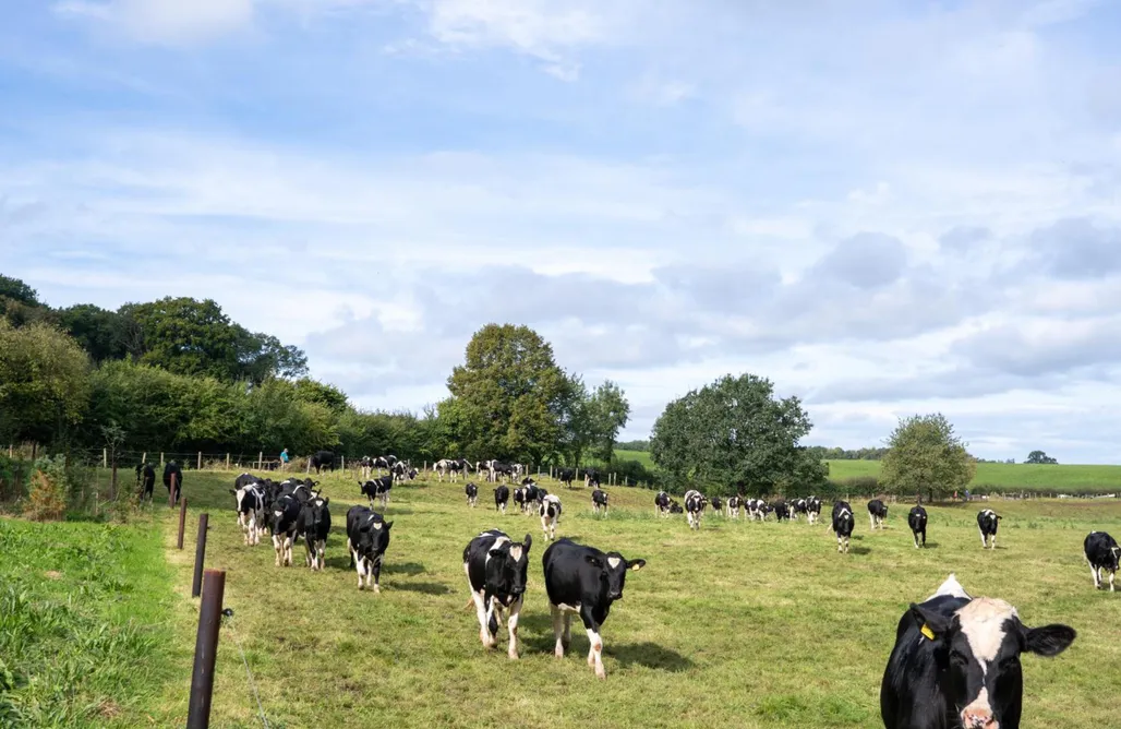 ubytování AlohaCamp Architect-Designed Rural Cabin - Year Round Retreat 4