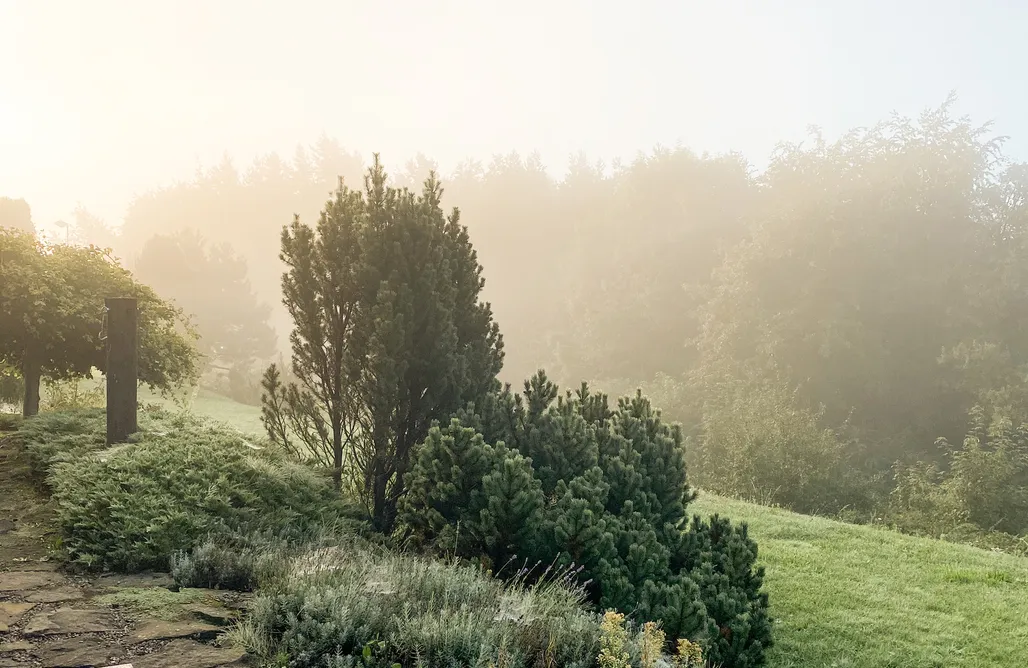 noclegi AlohaCamp Chata Beskidu 5