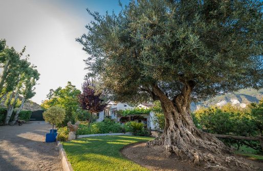 Imagen de Molino Mísqueres - Al Agia