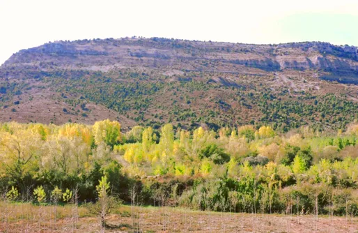 Imagen de La Costana de Barbadillo