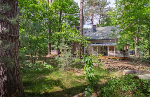 Zdjęcie obiektu Leśne Klimaty 