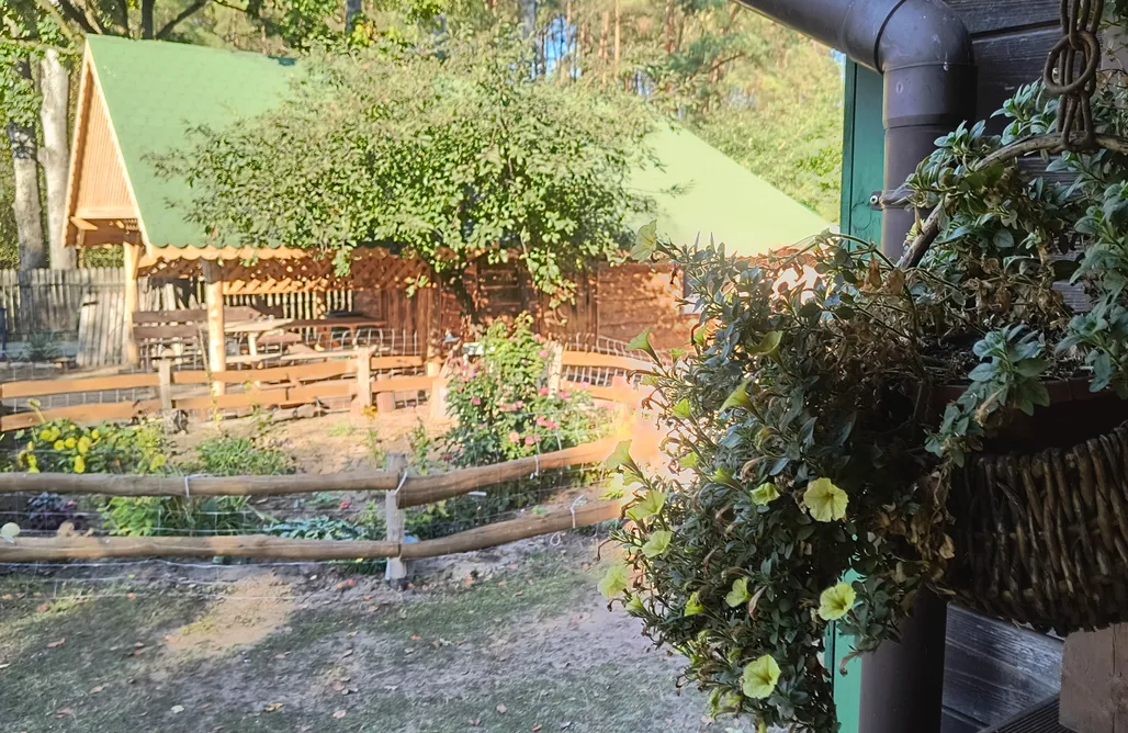 AlohaCamp Gospodarstwo Alpaki Pituchówka  1