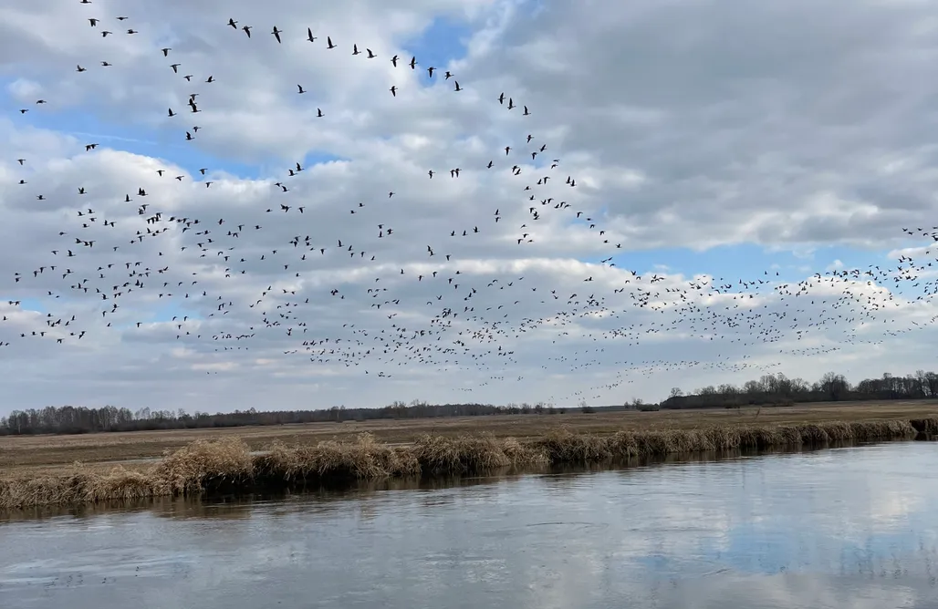 noclegi AlohaCamp Biebrzaski 1
