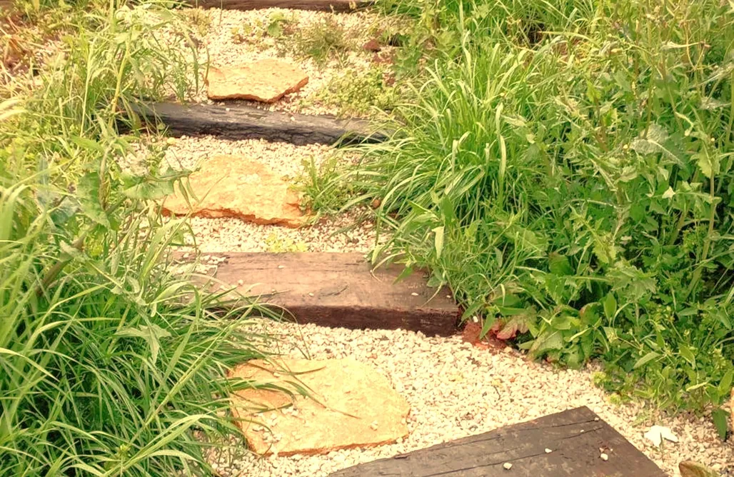 Tienda Glamping Glamping Quintana 1