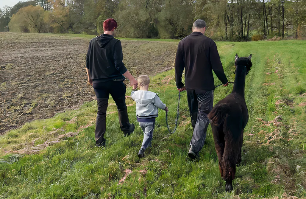 Whisper of Alpacas AlohaCamp