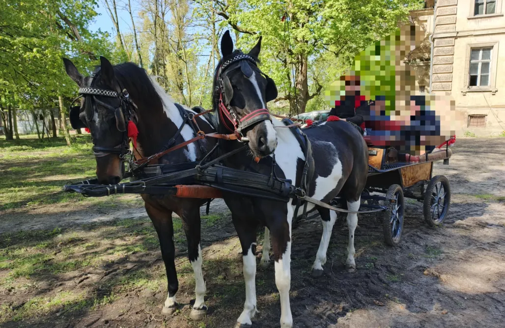 noclegi AlohaCamp Gniwosz - Dom z Bala 1