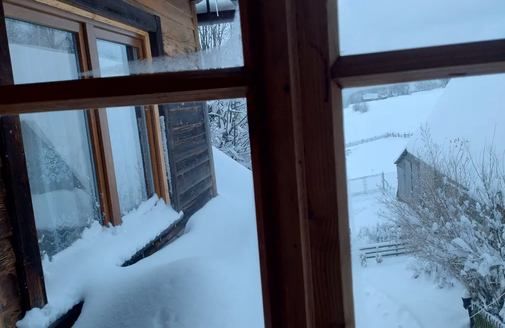 AlohaCamp Pokój trzyosobowy z prywatną łazienką na zewnątrz 1