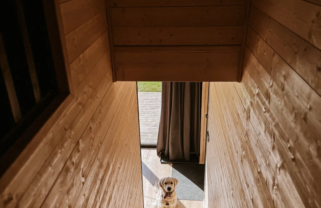 First Minute 2026 Domki Momenty 1