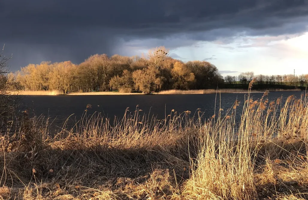 AlohaCamp Beach House 1