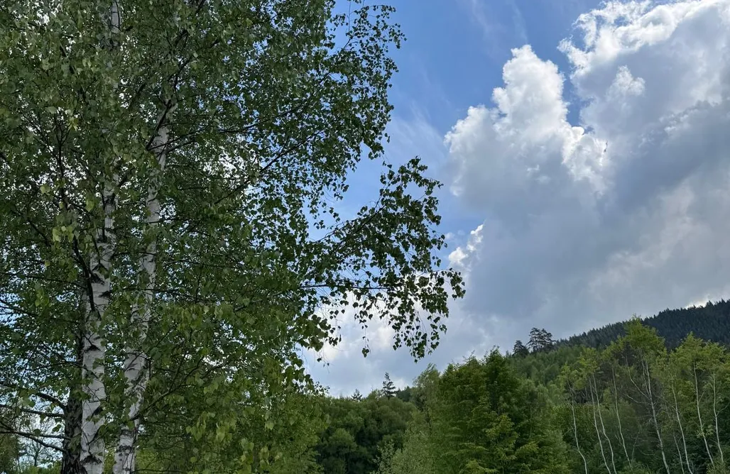 Jeleśnia Domki Stylowe Beskidy - Domek Pilsko z sauną i jacuzzi 1