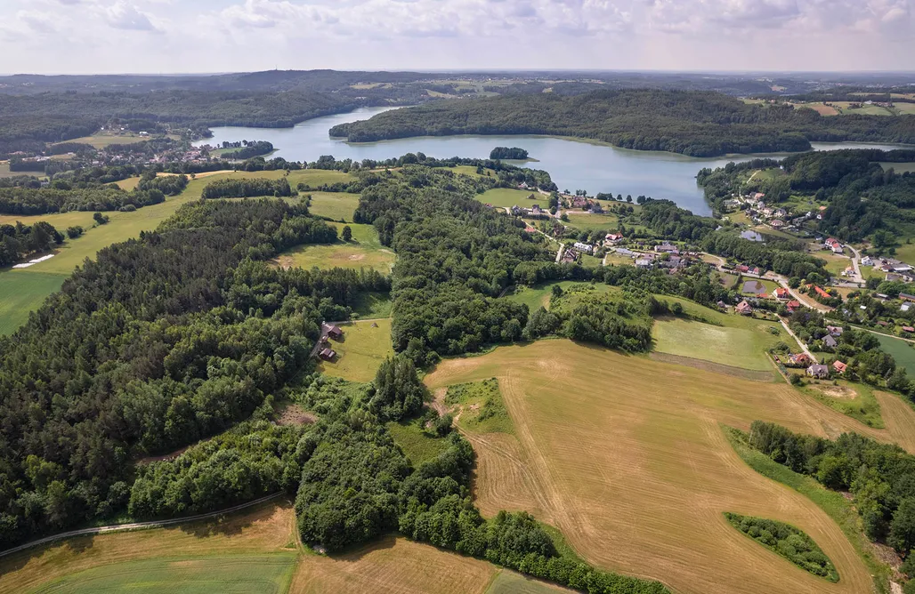 AlohaCamp Domek w Zaciszu 1 1