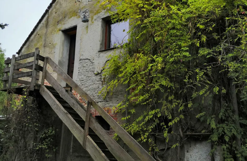 Agroturystyka Dolnośląskie ze zwierzętami Ekoturystyka Nowina 3