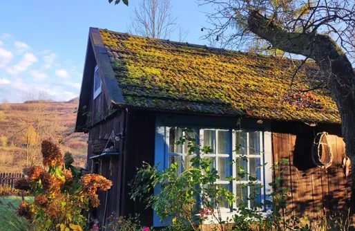 Zdjęcie obiektu Jolinkowo