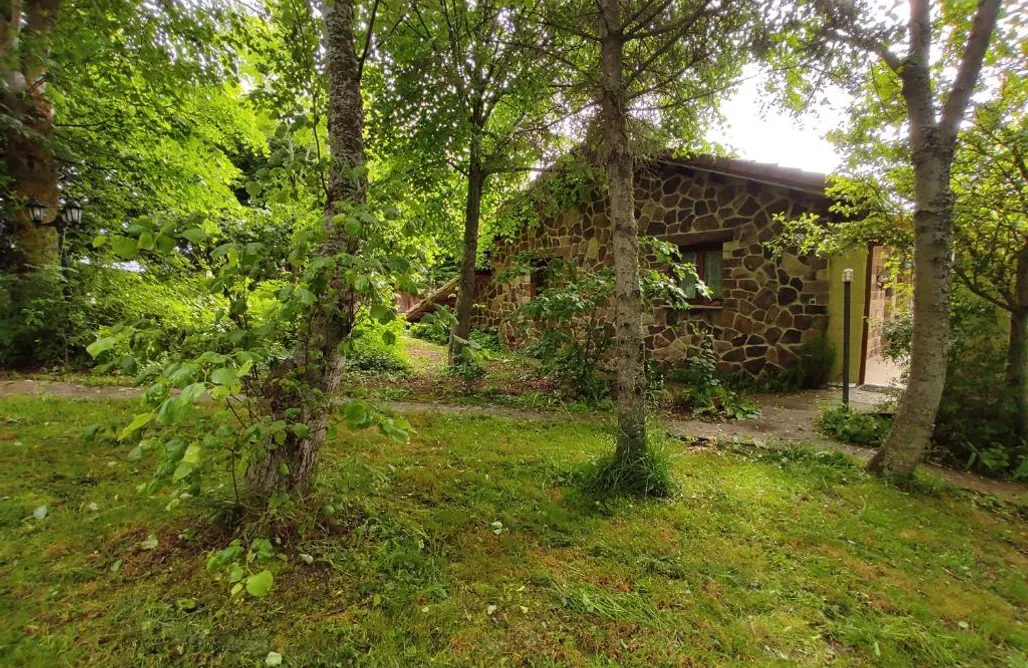 Casas rurales Castilla y León Alojamiento Rural Los Tilos  2