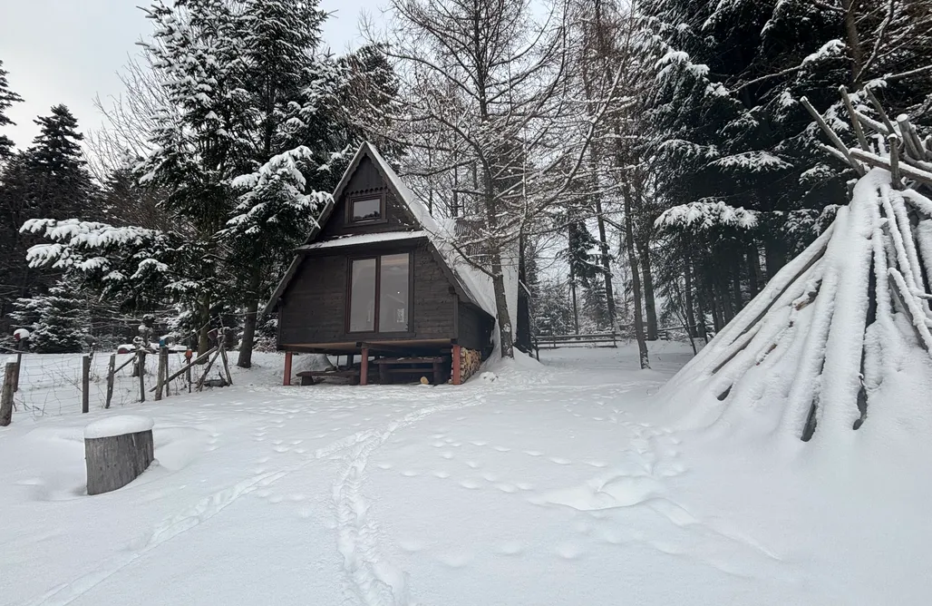 First Minute 2025 Leśna Chatka na Sznurkach 3