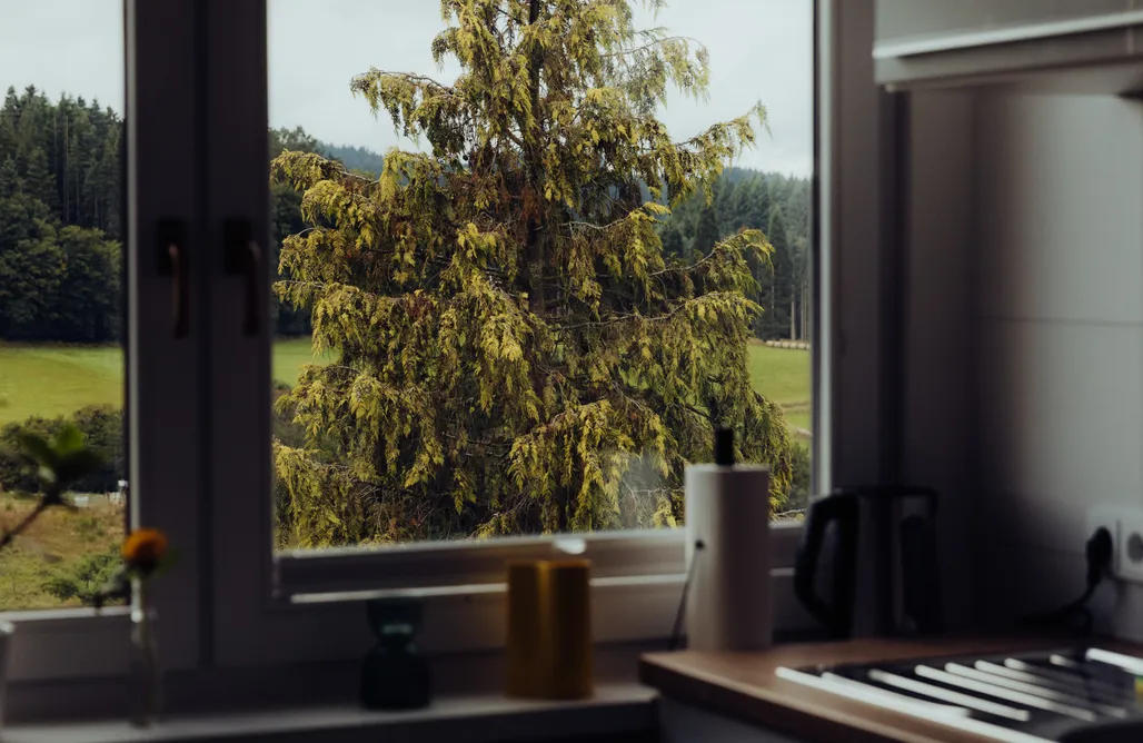 Ferienwohnung Eifel17+4 - helle Ferienwohnung mit Vulkanblick 3