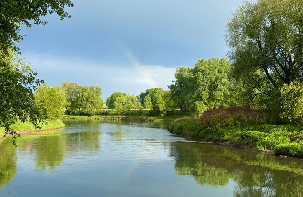 noclegi AlohaCamp Sanovia Glamping 4