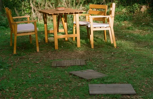 Imagen de Glamping en el bosque