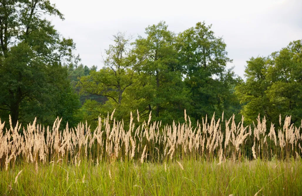 alojamientos AlohaCamp Dom Przemian 1