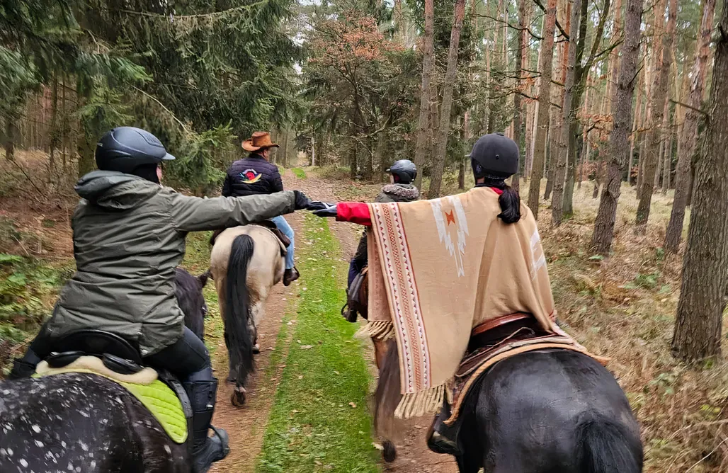 noclegi AlohaCamp Trzcinowy zakątek  5