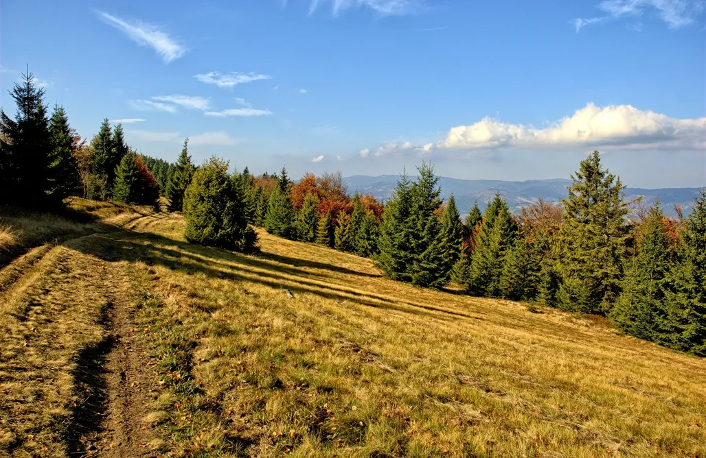 noclegi AlohaCamp Słoneczne Chatki 1