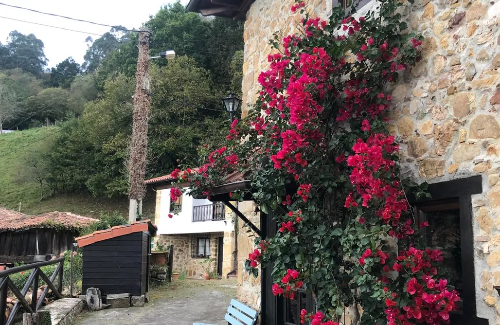 alojamientos AlohaCamp Casa Jimena 4