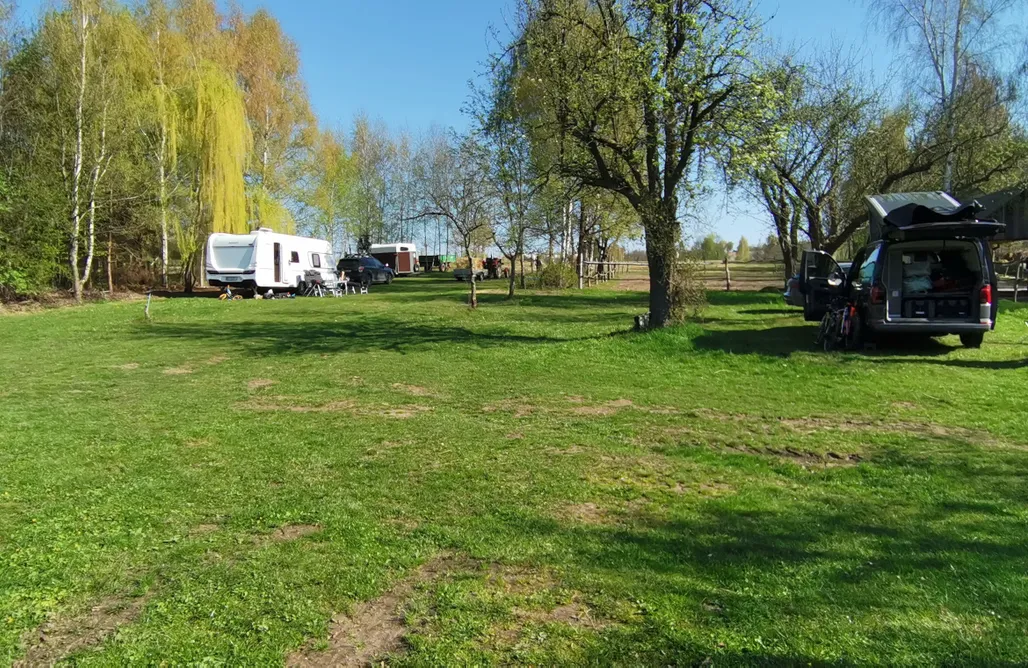 Pole Namiotowe Kielce Miejsce kamperowo-namiotowe - Feel free farm 3