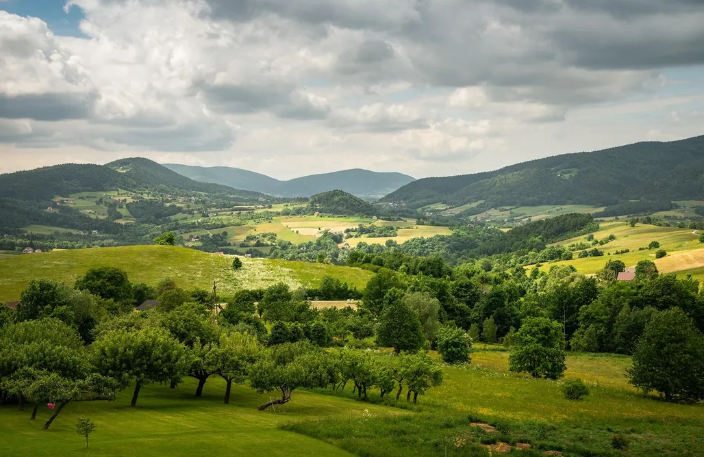AlohaCamp Pokój czteroosobowy z widokiem na panoramę gór 1