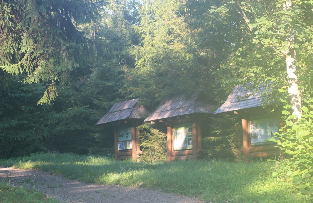 Pole namiotowe podkarpacie Miejsce namiotowe i kamperowe - Nad Rzeką 1