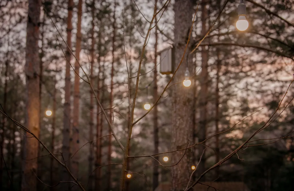 Tanie wakacje w Polsce Szary domek Zelwa 1