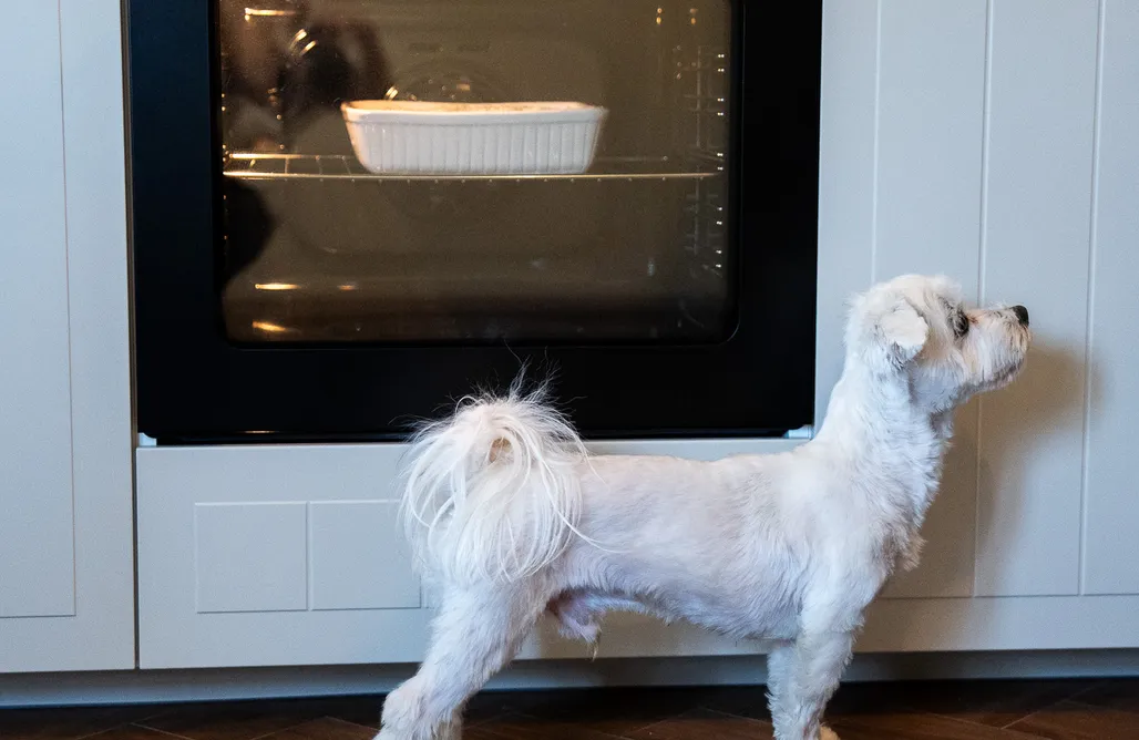 noclegi AlohaCamp Stara Rzeka 2.0 1