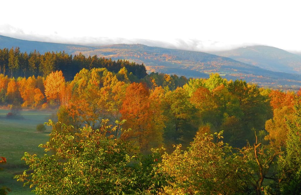 AlohaCamp accommodation Maja Pokoje z Widokiem 1