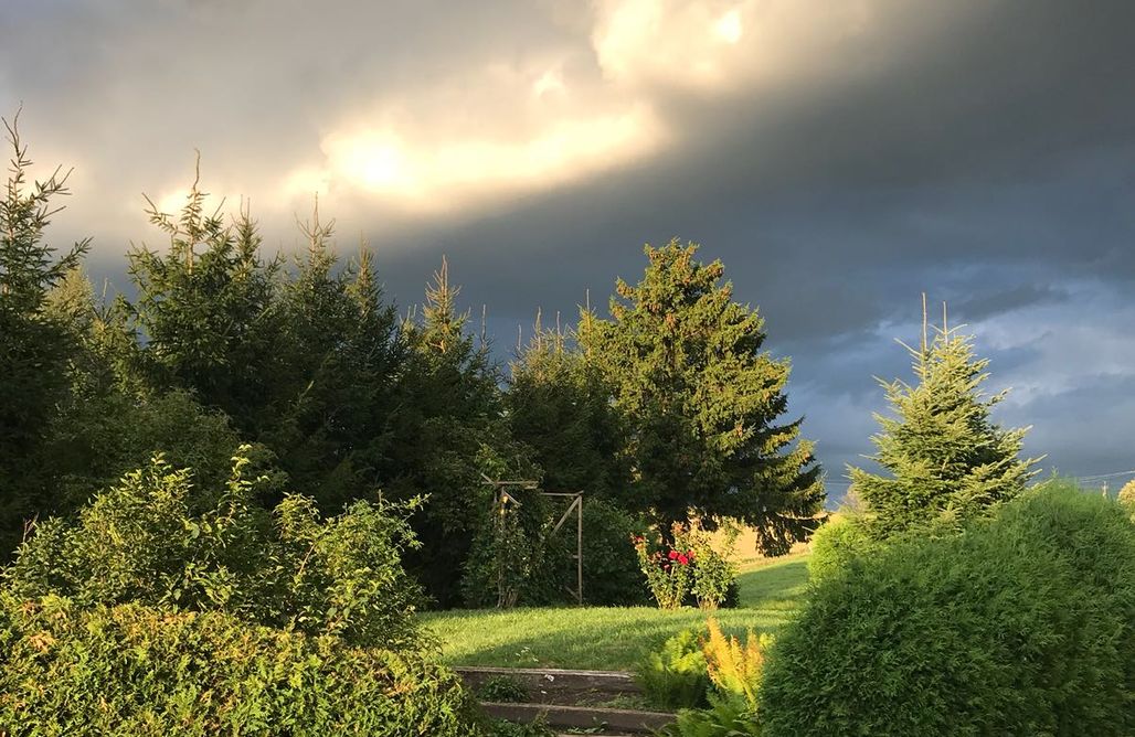 AlohaCamp Dom nad stawem 1