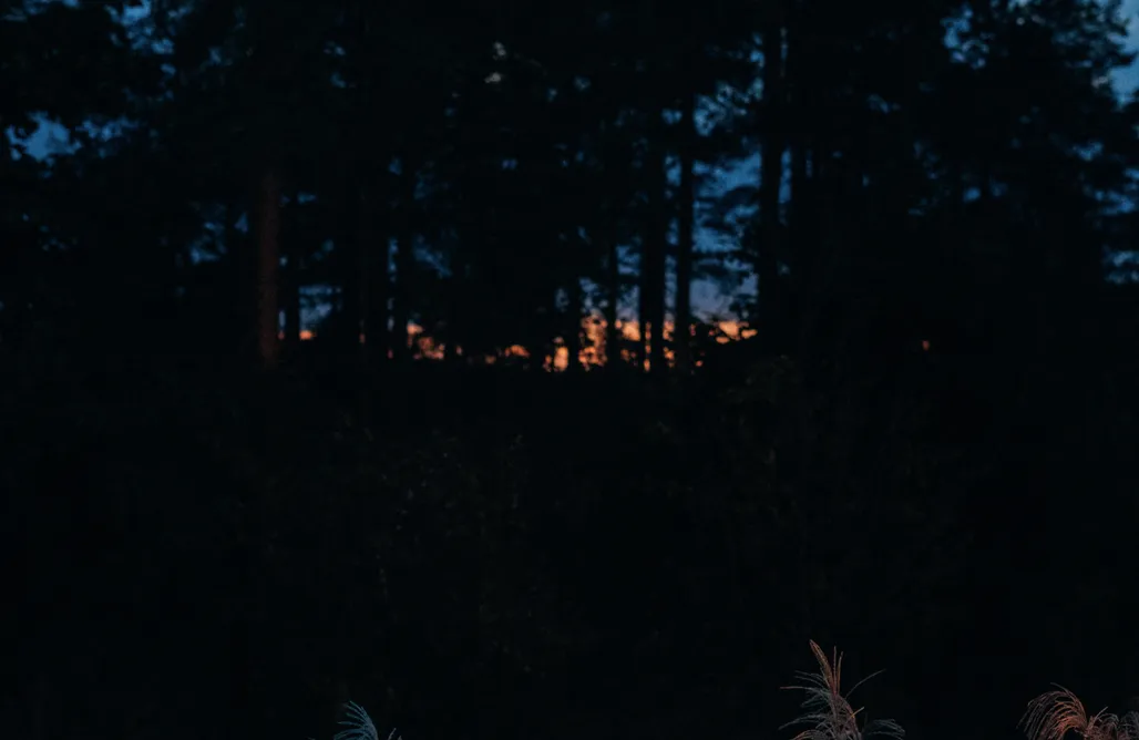 AlohaCamp Domek 1 i 6 1