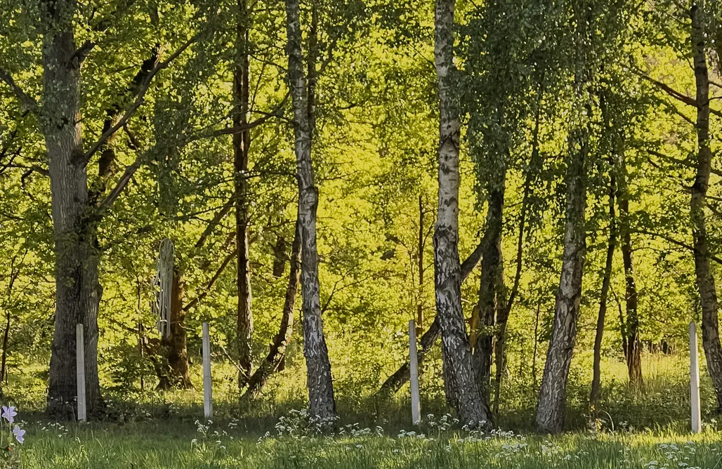 Alloggio AlohaCamp Dom Snów Domysłów - Wyspa Wolin 1