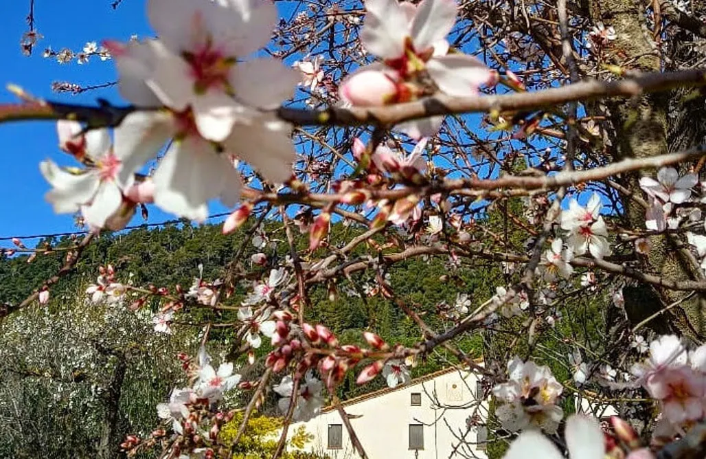 Camping Holidays Spain Hortus 3