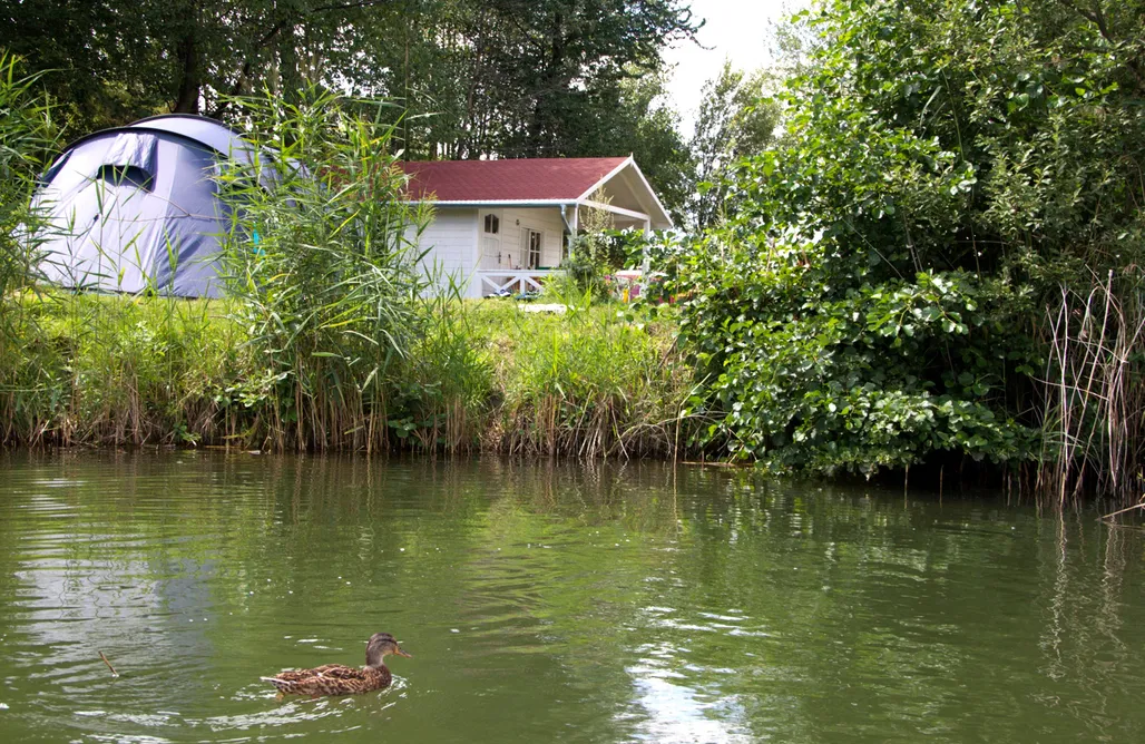 noclegi AlohaCamp Domki drewniane nad brzegiem stawu 4