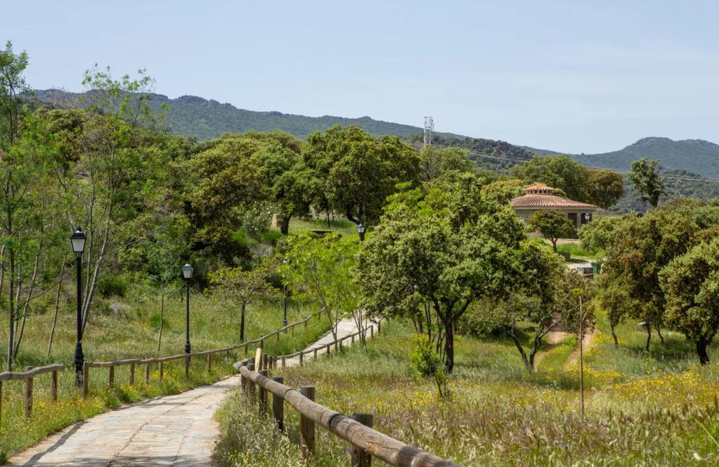 AlohaCamp Habitación doble 1