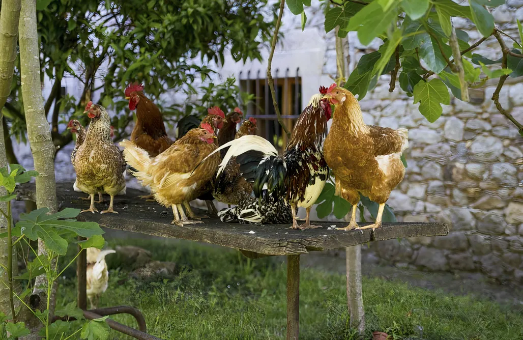 alojamientos AlohaCamp Hotel La Casona de Belmonte 1
