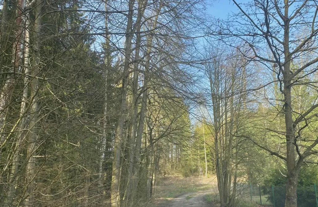 Bogusze noclegi Buczki 12 SPA Mazury Resort 3