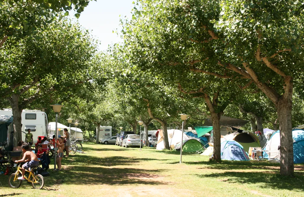 AlohaCamp accommodation Sitio para tiendas - Camping Laspaúles   1