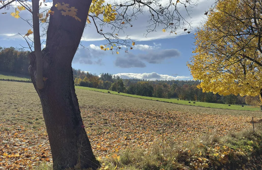 noclegi AlohaCamp Pod Stromcem 1