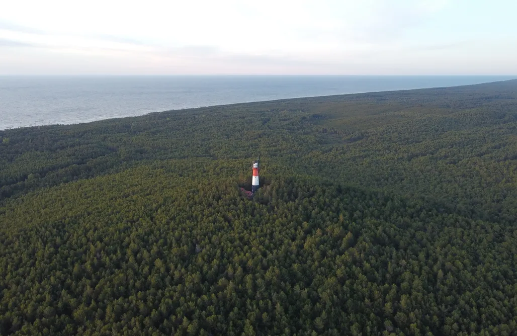 noclegi AlohaCamp Czas na Las 1