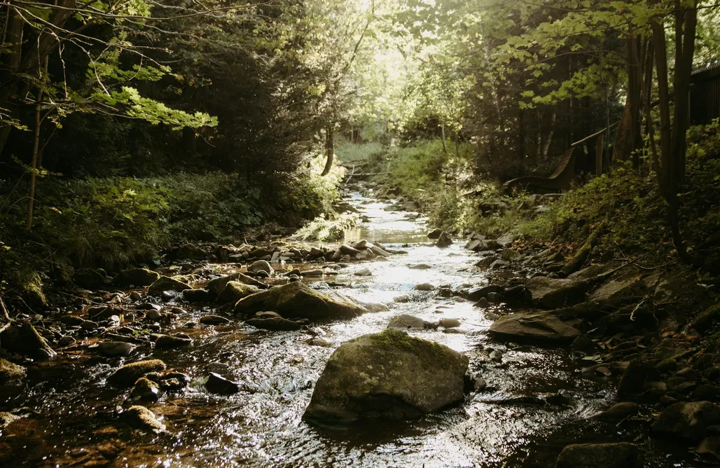 AlohaCamp Szumidomek Jak Słońce 1