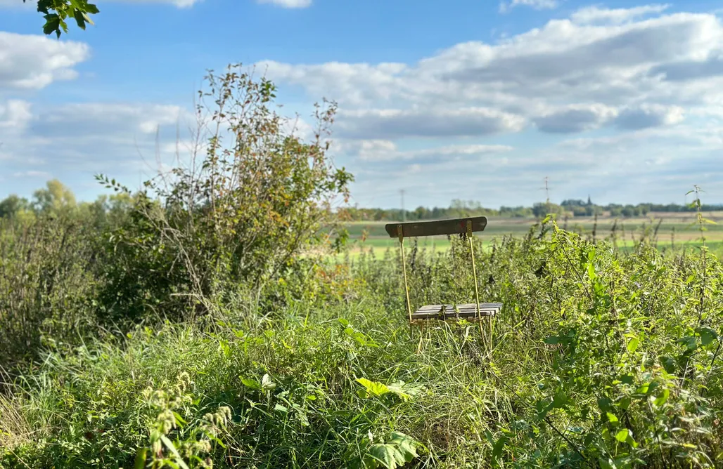 Unterkunft AlohaCamp Mecklenbü mit Teich, Kamin, Sauna und Hotpott 5
