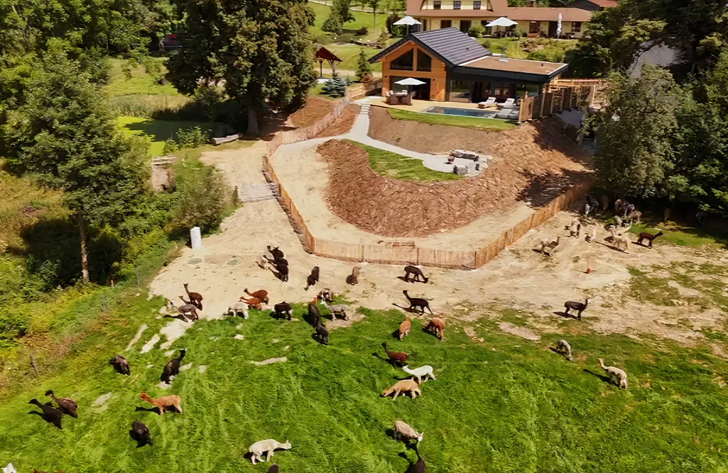 AlohaCamp accommodaties Whisper of Alpacas 5